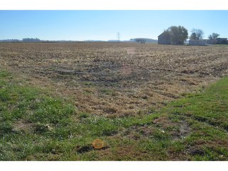 Tracts 4 & 5 - FARMLAND AUCTION - 165.5+/- ACRES OFFERED IN 5 TRACTS OR COMBINATIONS IN EAST ALLEN COUNTY
